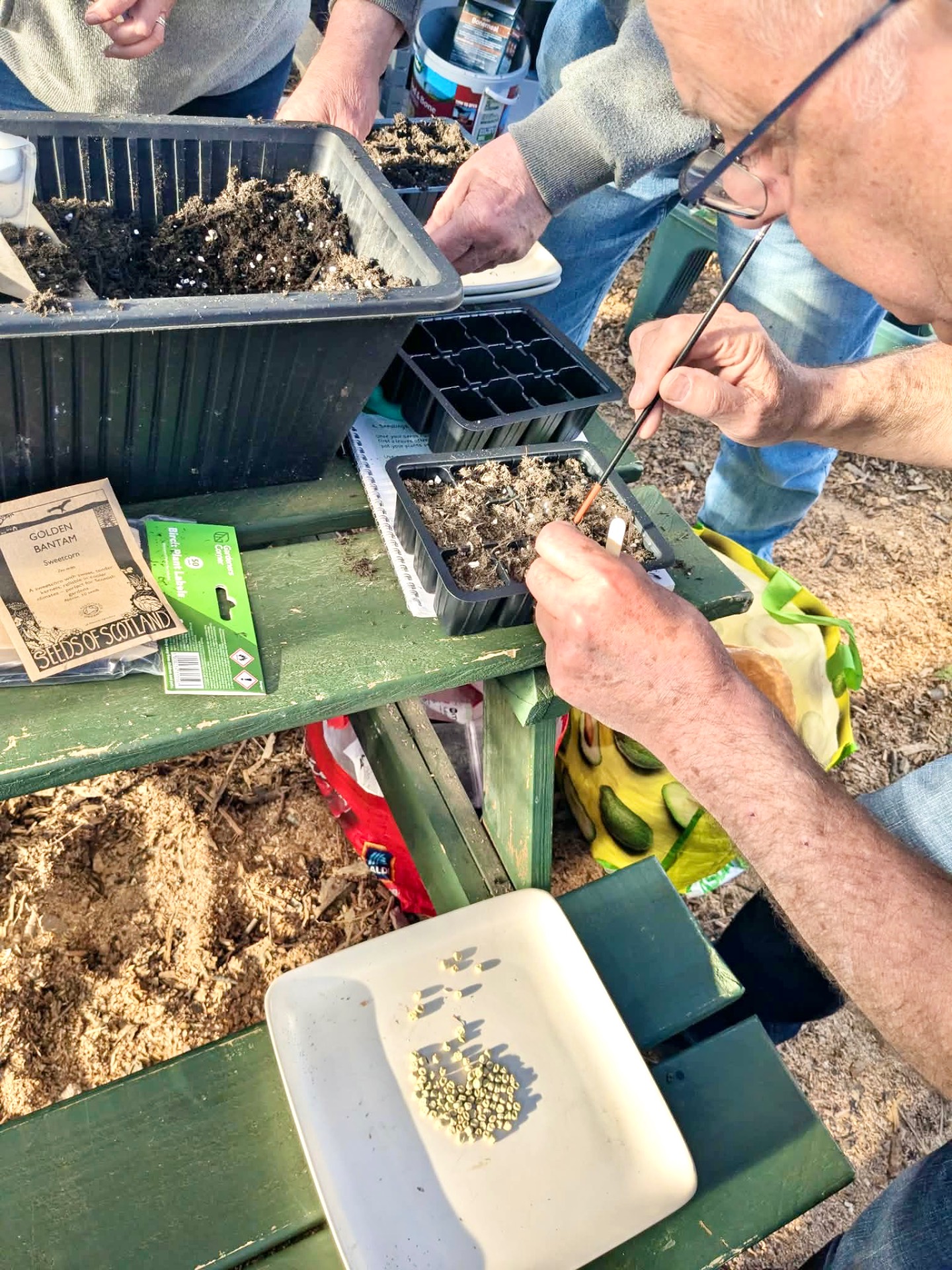 An older participant carefully sowing seeds during a therapeutic horticulture workshop